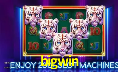 bigwin Pagamento Seguro SSL