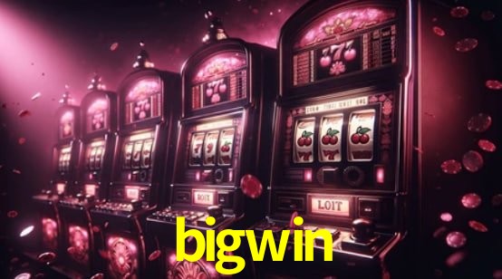 Programa VIP bigwin